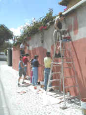 pared.jpg (110540 bytes)