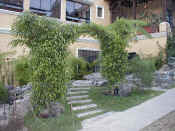 Garden 01.jpg (226847 bytes)